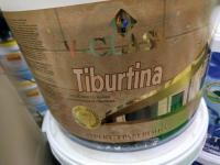 WhatsApp Image 2025-02-23 at 12.48.24