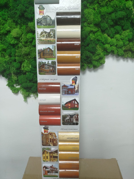 WhatsApp Image 2026-02-21 at 13.49.09